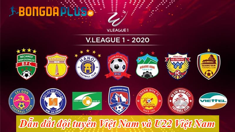 các giải bóng đá Việt Nam