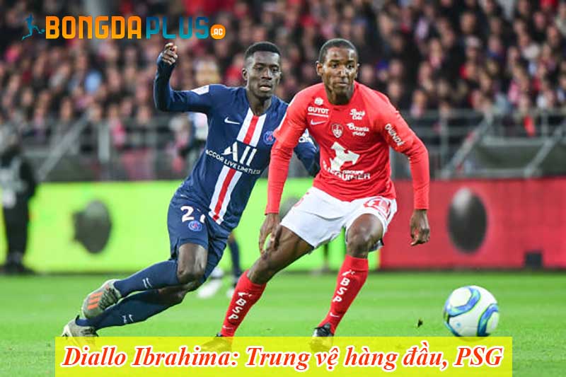 Diallo Ibrahima: Trung vệ hàng đầu, PSG
