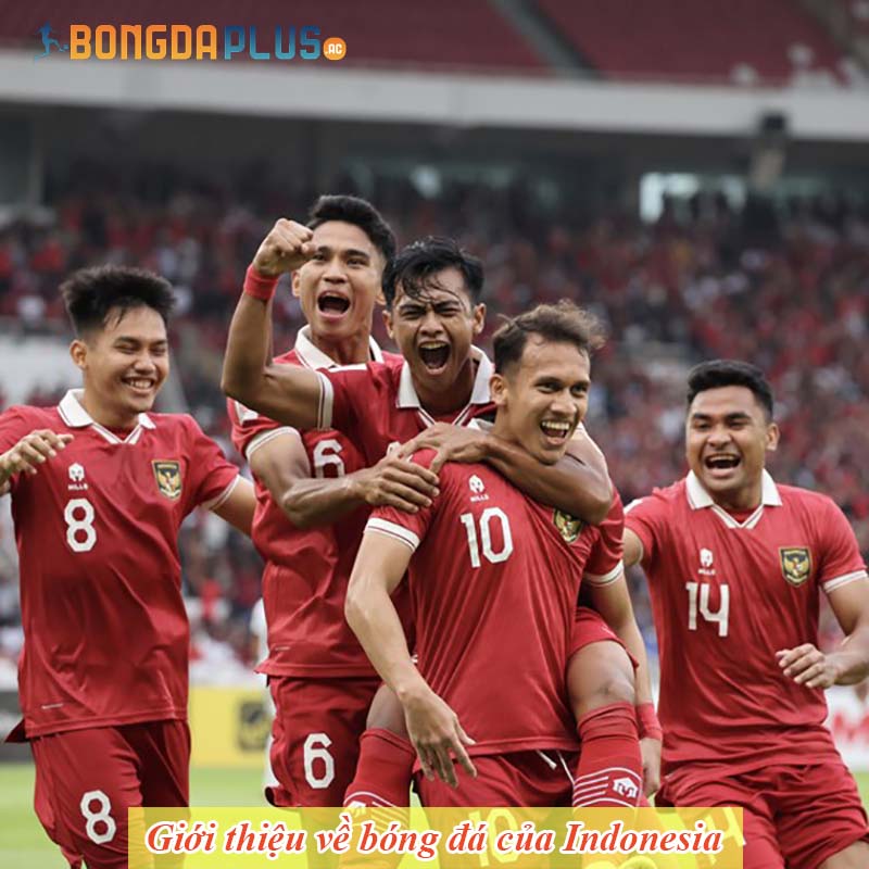 Giới thiệu về bóng đá của Indonesia