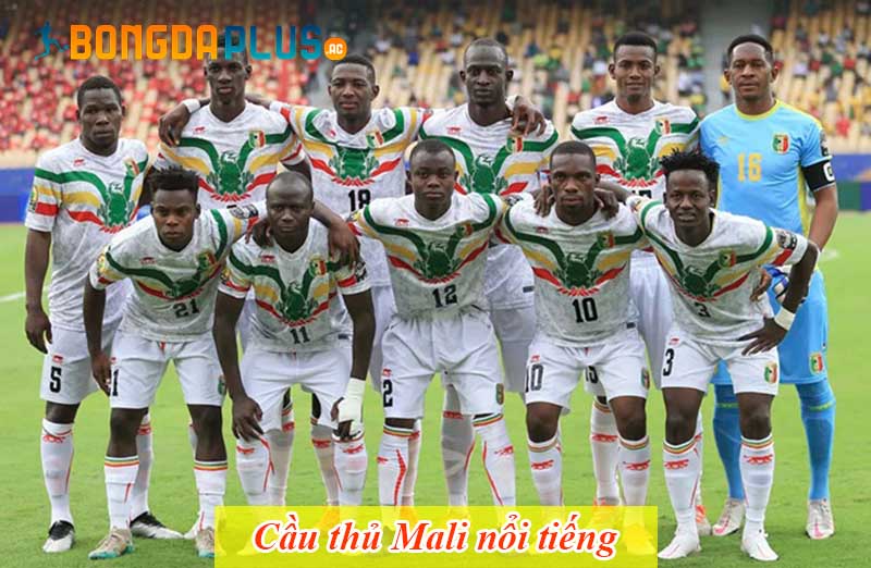 Cầu thủ Mali nổi tiếng