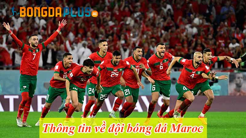 Thông tin về đội bóng đá Maroc